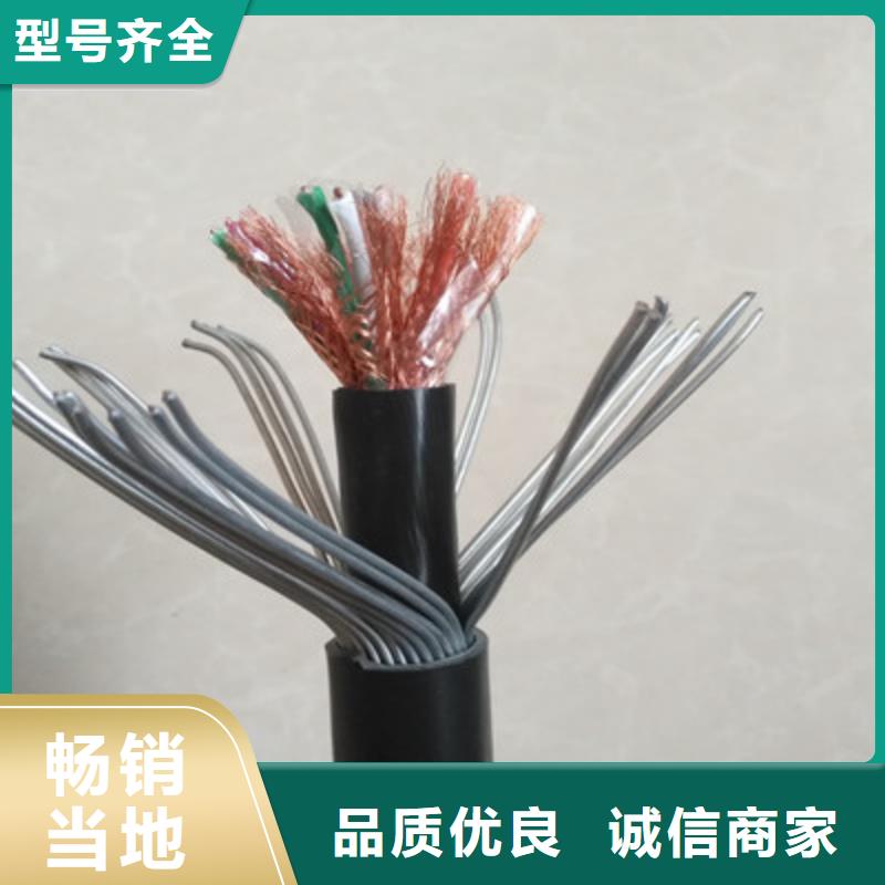 DJFPVP耐高温计算机电缆19X2X1.5厂家直销值得选择