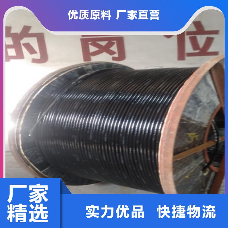 耐高温铠装控制电缆FV226X2.5物流配货上门