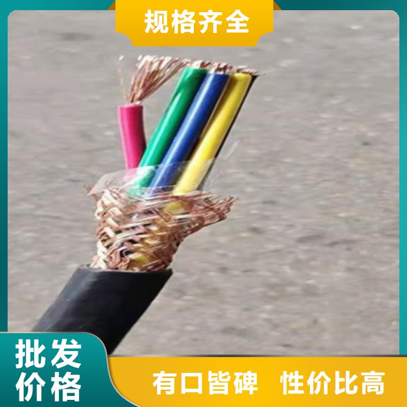 耐高温线DJFP3F3X2X1.5根据要求定制