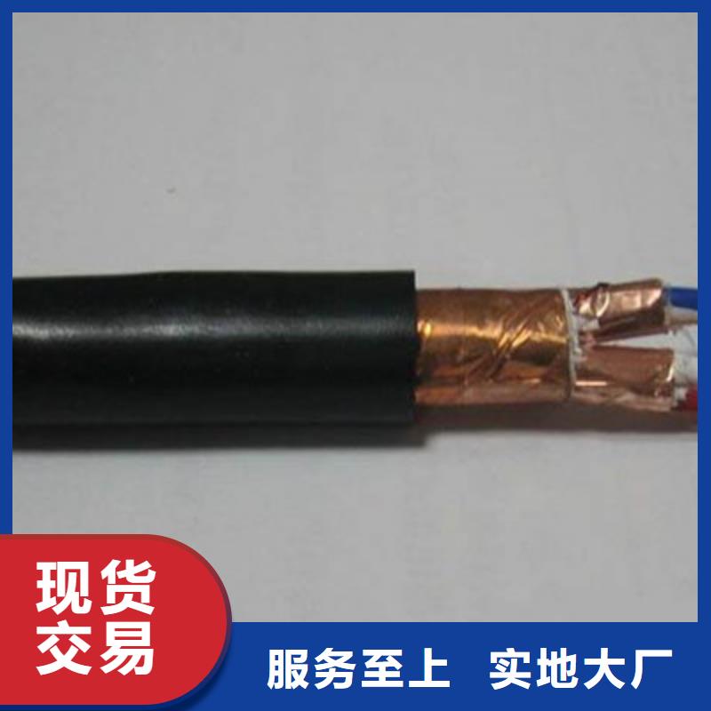 DJFP2V耐高温电缆计算机10X2X1.0本地公司