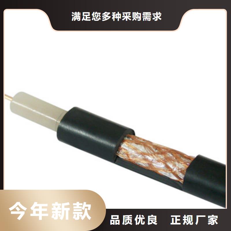 发货及时的耐高温视频线DLD-SYF销售厂家厂家直接面向客户