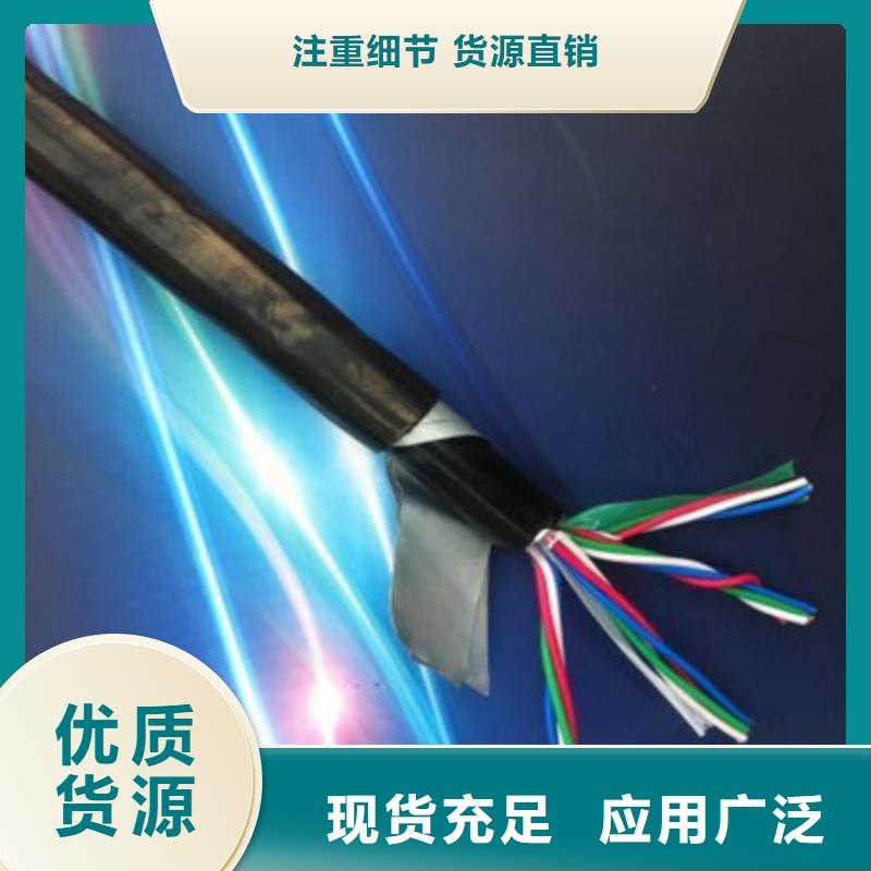 PTYL22铠装信号电缆按需定做本地制造商