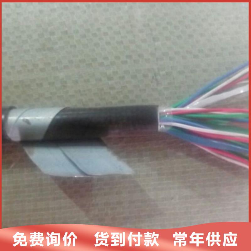 PTYL22铠装信号电缆48芯本地品牌