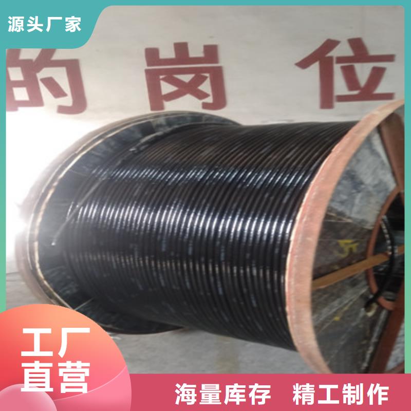 常年供应铁路电缆PTYV-靠谱极速发货