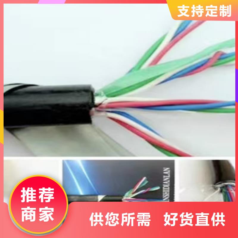 PZY23铁路专用信号线零售服务至上