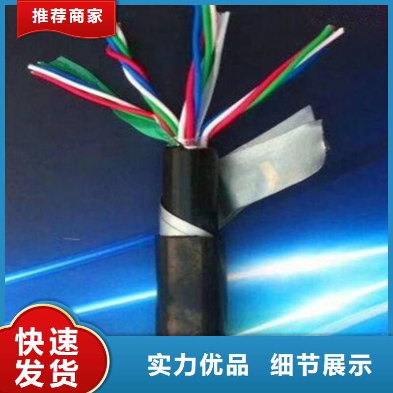 PZY23铁路专用信号线_PZY23铁路专用信号线公司实力工厂