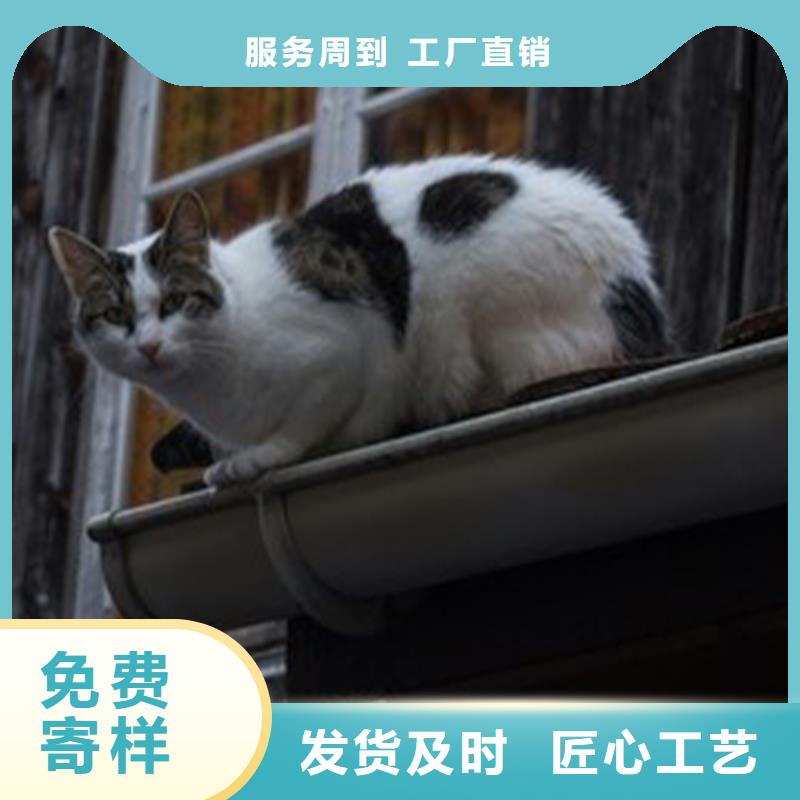 双壁天沟落水管解决屋面落水烦恼应用广泛