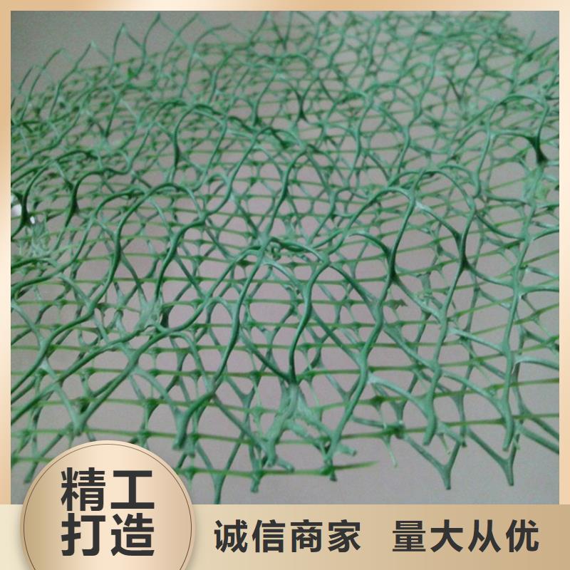 三维土工网垫价格精选优质材料