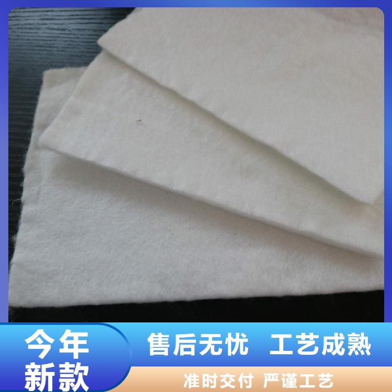 PET聚酯长丝土工布同城公司