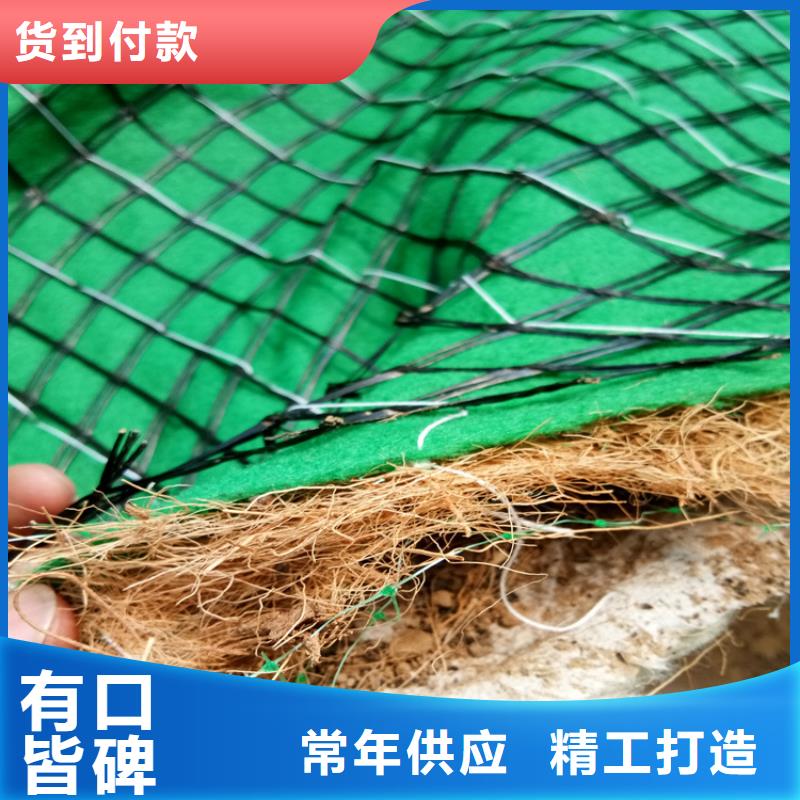 椰丝植生毯本地经销严格把关质量放心