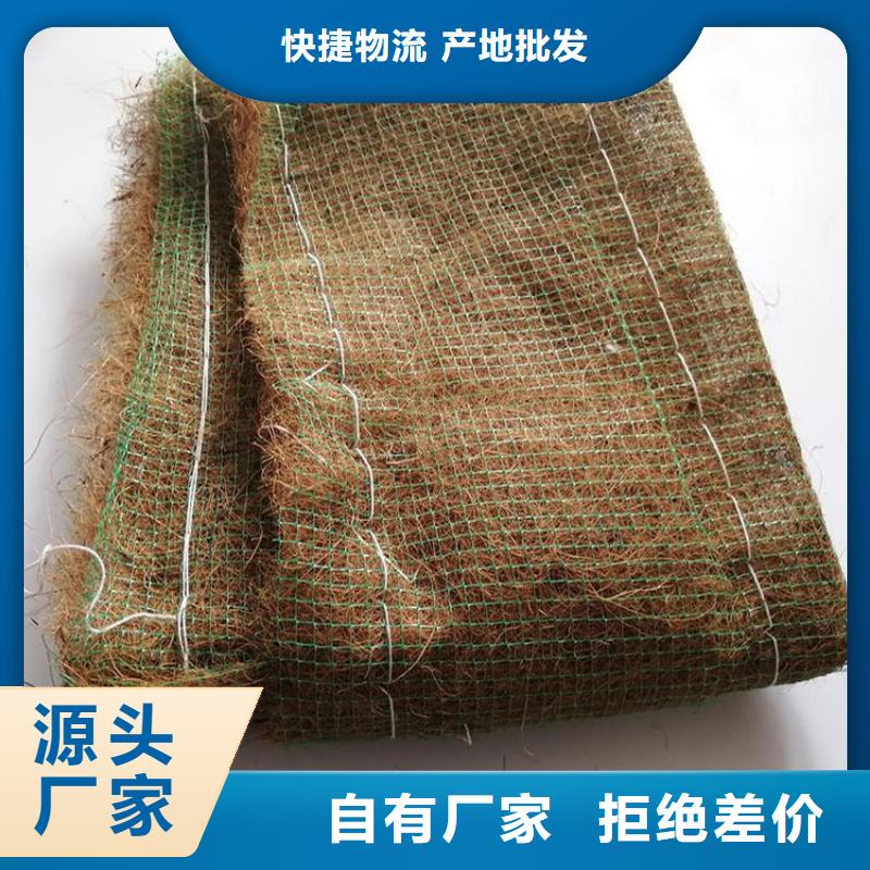 绿化草毯当地生产厂家