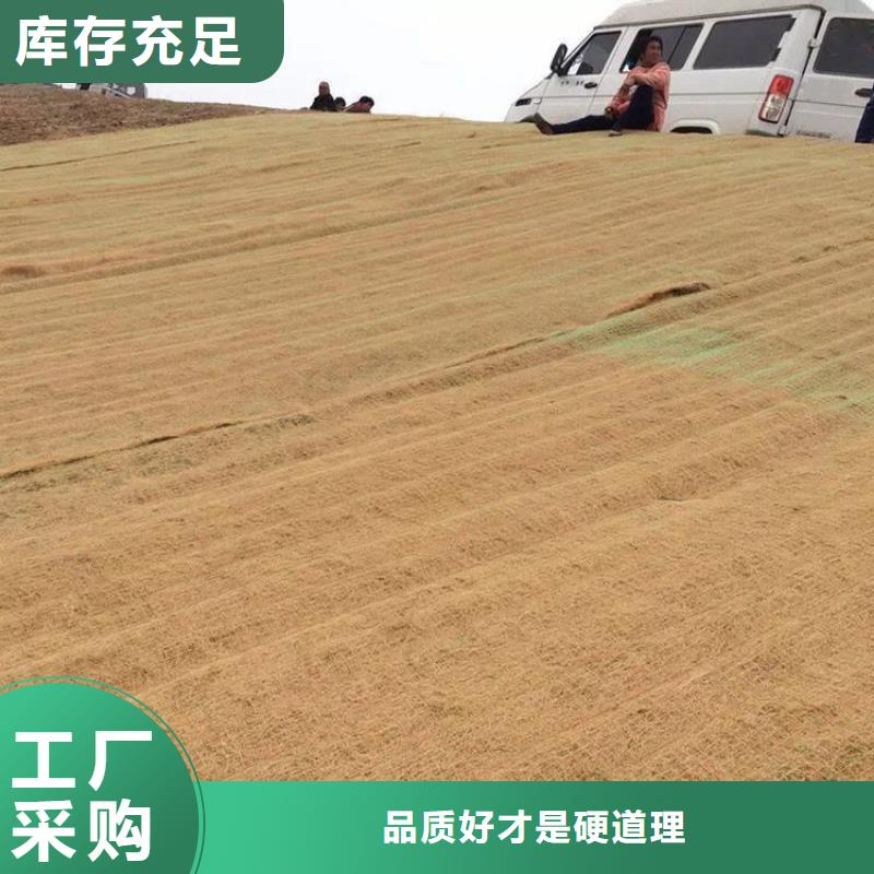 护坡生态草毯环保草毯优质工艺