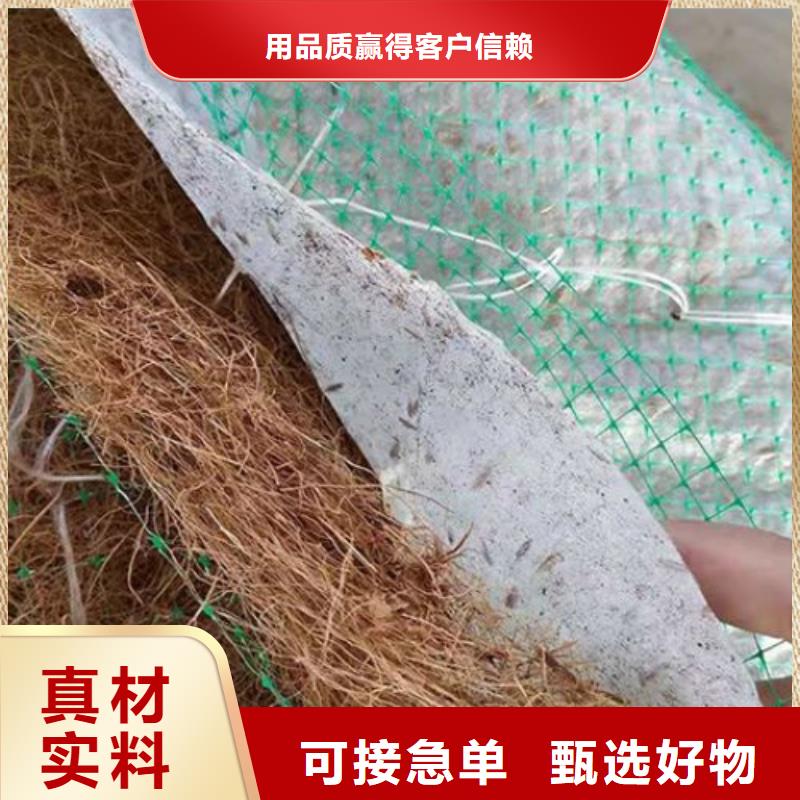 加筋抗冲生态毯抗冲植物毯本地生产厂家