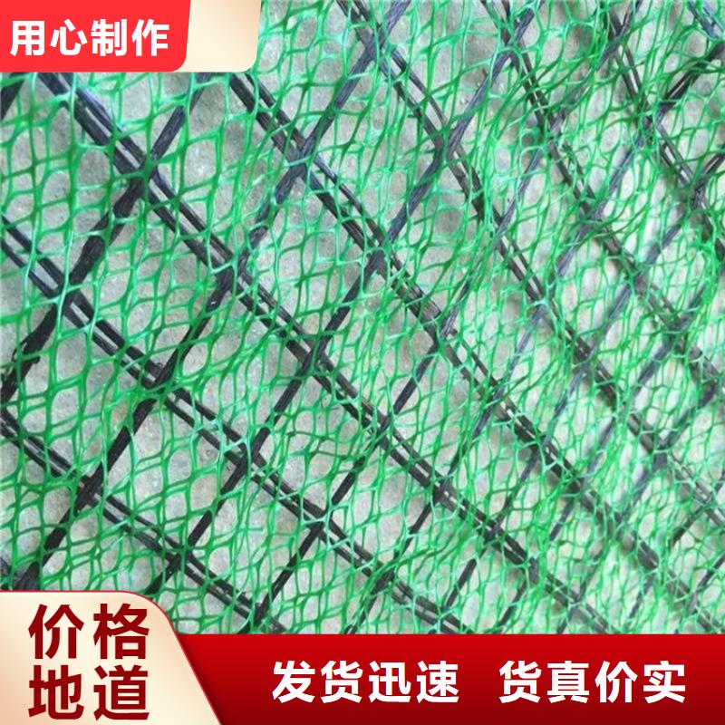 草皮环保三维固土网垫本地货源