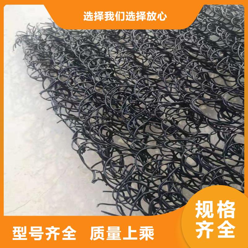 1020高渗排水网垫厂家联系方式实拍展现