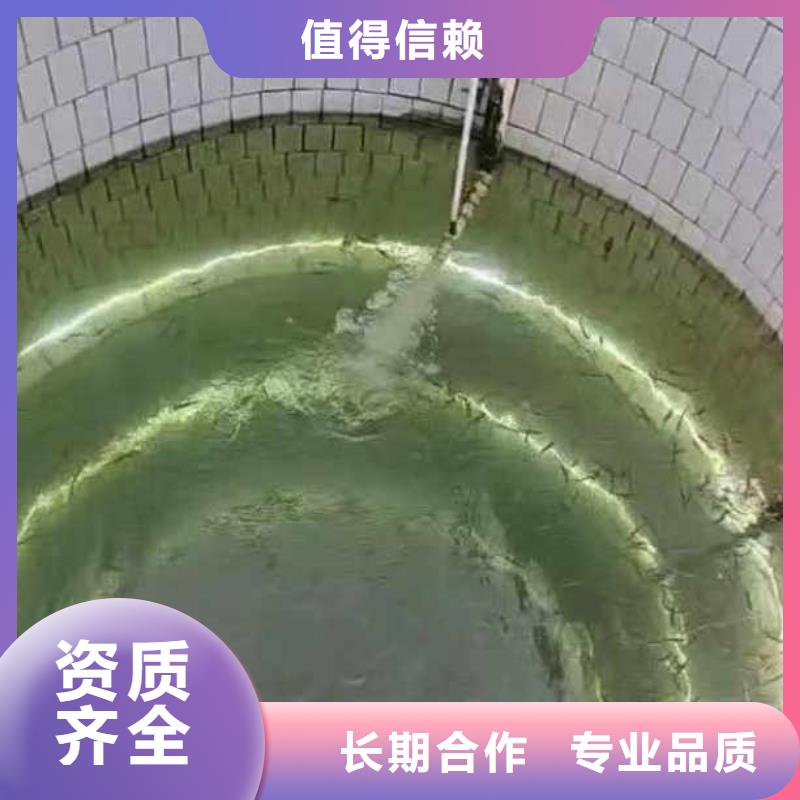 公园湖拼装浮吊出租-源头厂家-欢迎来电咨询同城公司