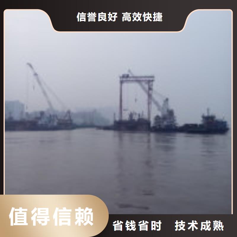 价格行情:取水口维修多家服务案例