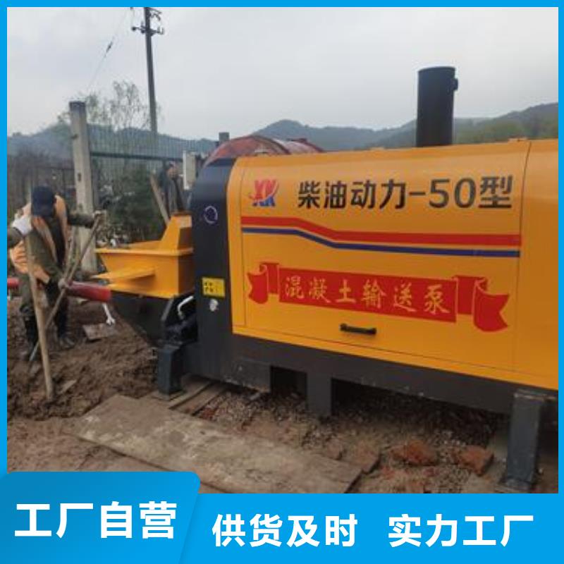 超小型二次构造柱泵本地品牌