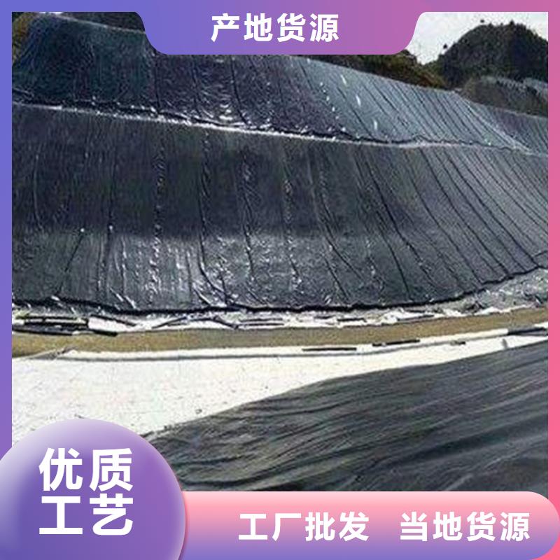 HDPE防渗土工膜当地服务商