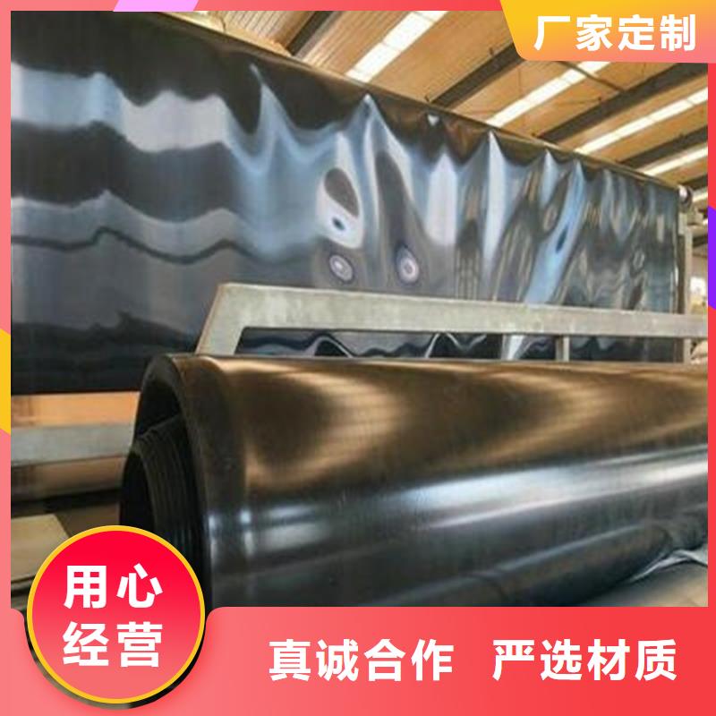 防渗土工膜实力厂家直销
