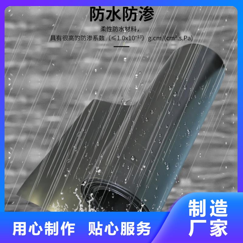 防渗土工膜-水利防渗膜同城生产厂家