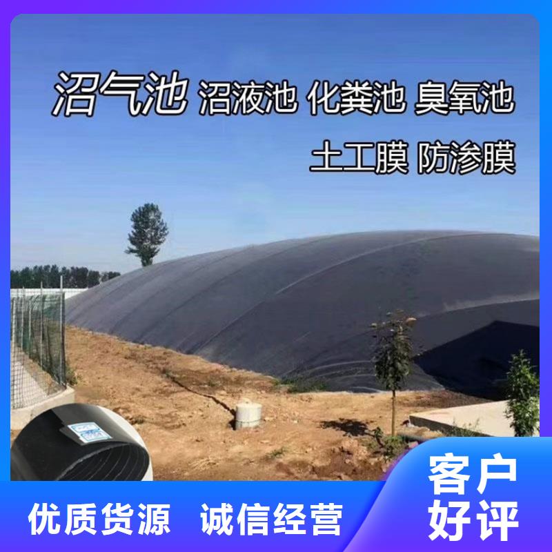 防渗膜本地厂家