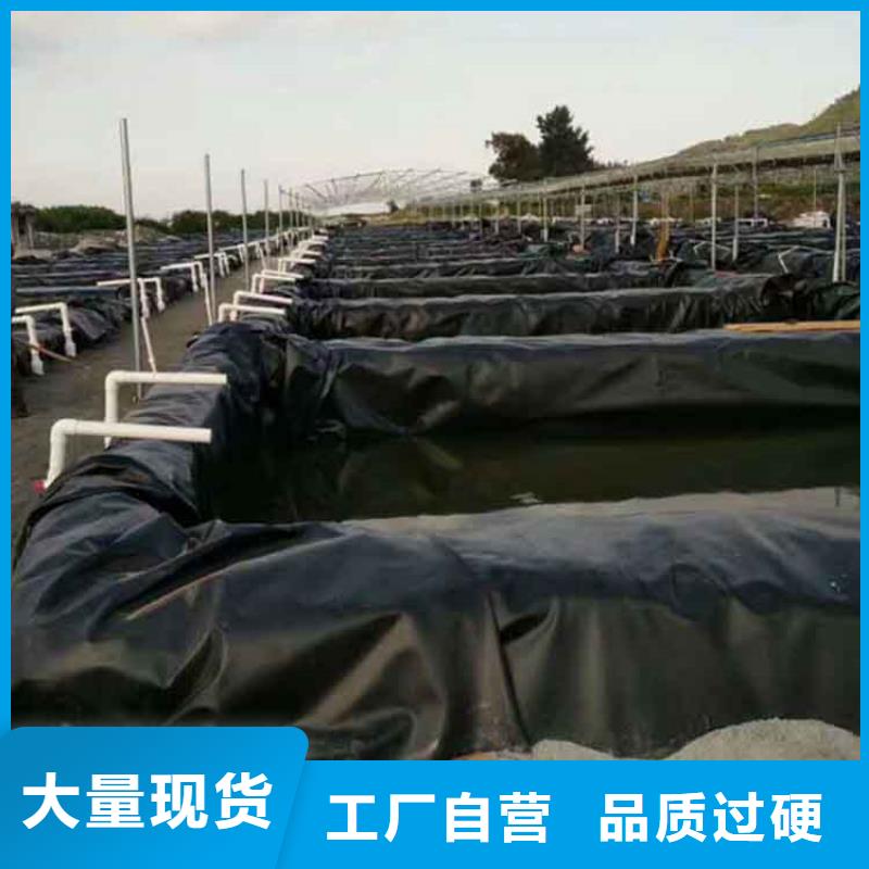 防渗土工膜-1.6mm防渗膜专注细节更放心