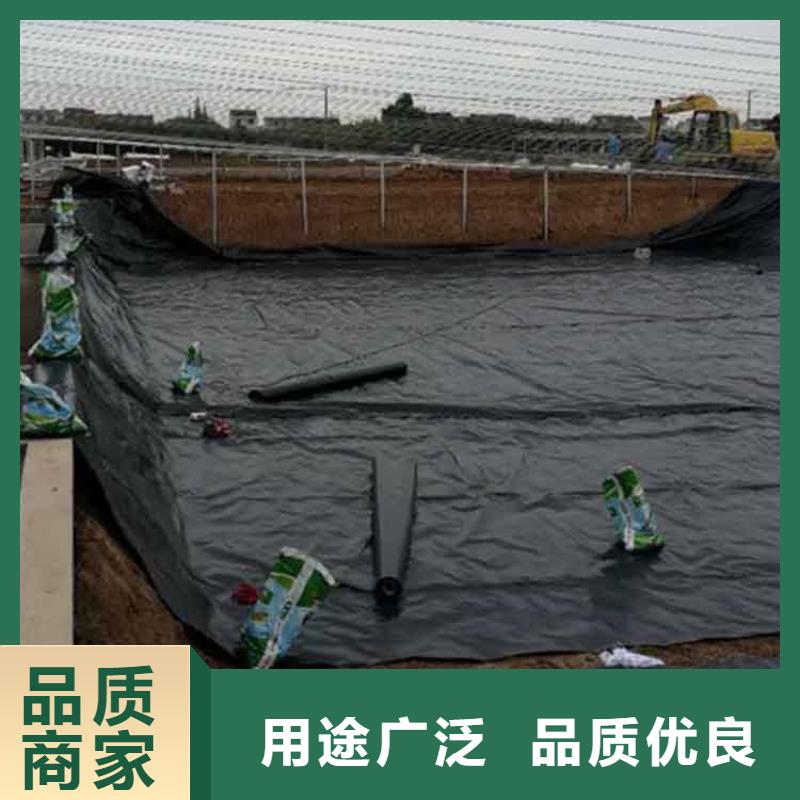 土工膜-沼气池HDPE防渗膜现货交易