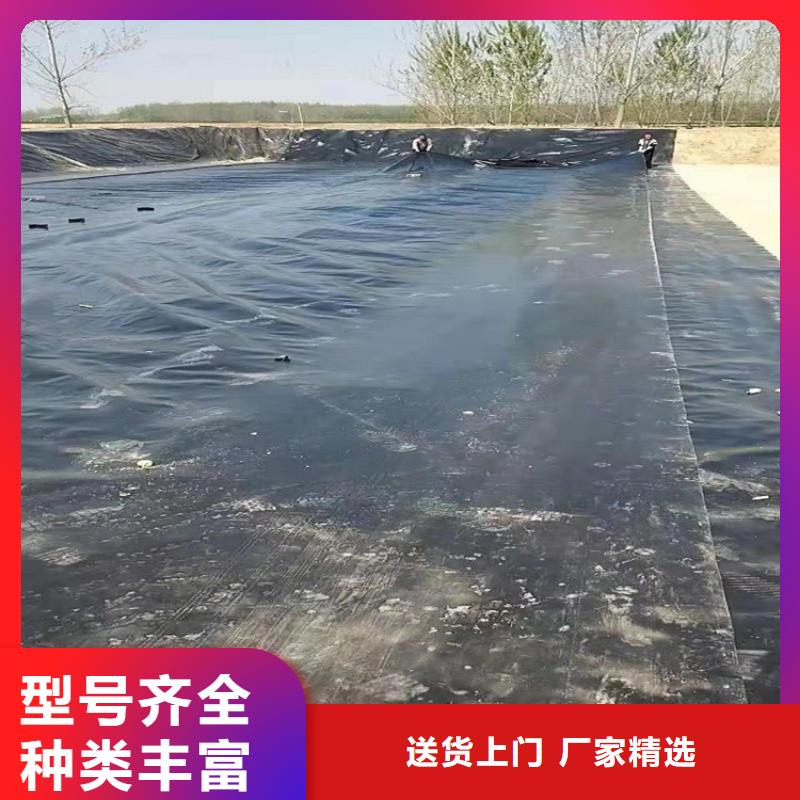 土工膜-养鸡黑膜防渗膜代理厂家自营