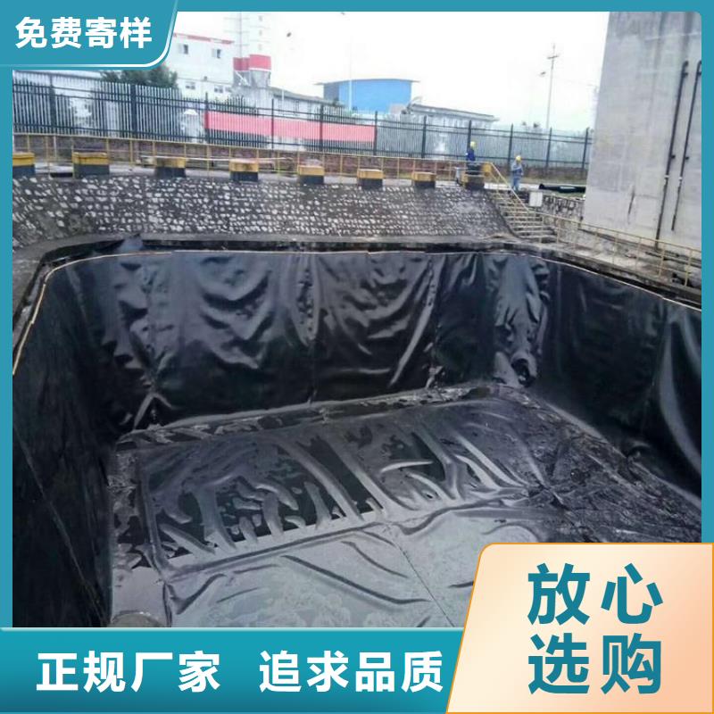 土工防渗膜-污水池黑膜沼气池-水利水库土工膜专注细节专注品质