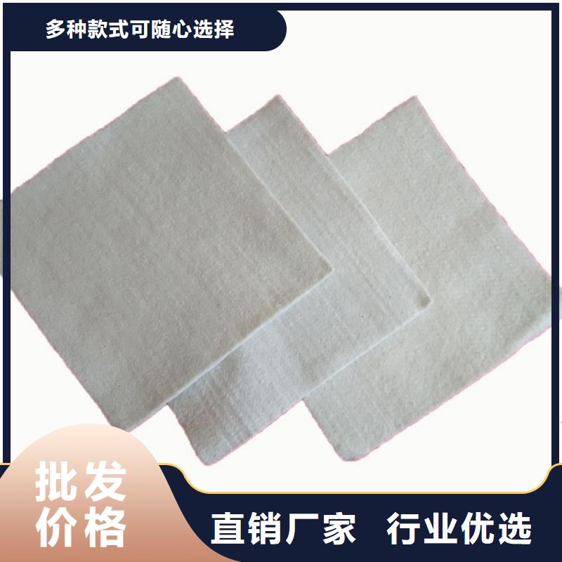 PP土工布防渗工程施工专业按需定制