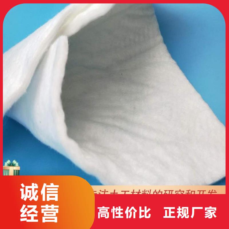 400g土工布-PP编织土工布快速物流发货