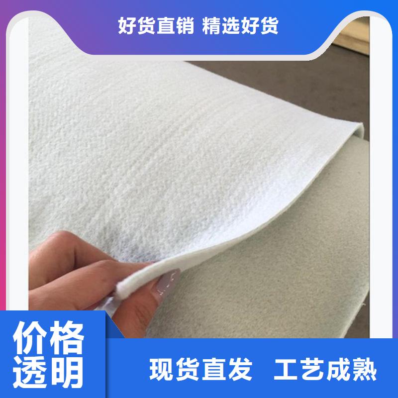 二布一膜土工布-聚酯土工布选择我们没错
