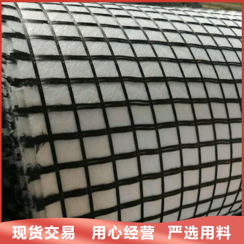 玻璃纤维格栅-TGSG双向塑料土工格栅-凸点土工格栅价格低