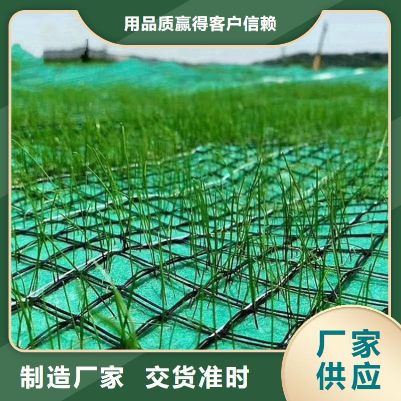 椰丝植生毯-生态植草毯-加筋复合抗冲生态毯同城货源