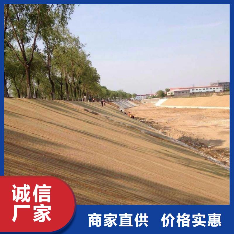 椰丝植物纤维毯-椰丝植物毯-加筋复合环保草毯本地生产厂家