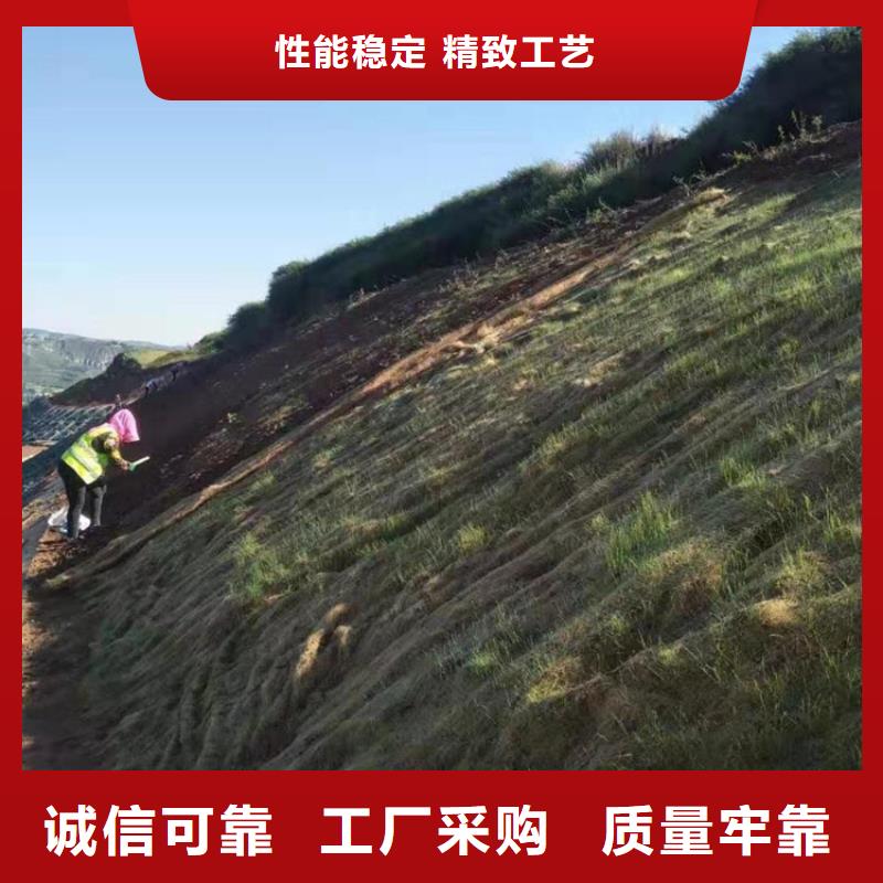 生态环保草毯同城货源