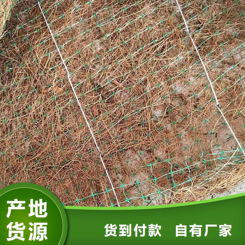 加筋抗冲生物毯货品齐全