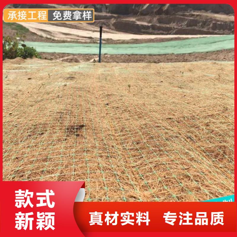 椰丝植生毯-环保植物毯-抗冲毯N年专注