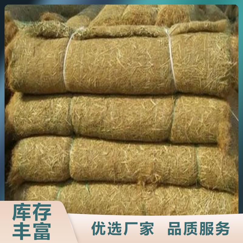 植生椰丝毯-生态草毯市场报价