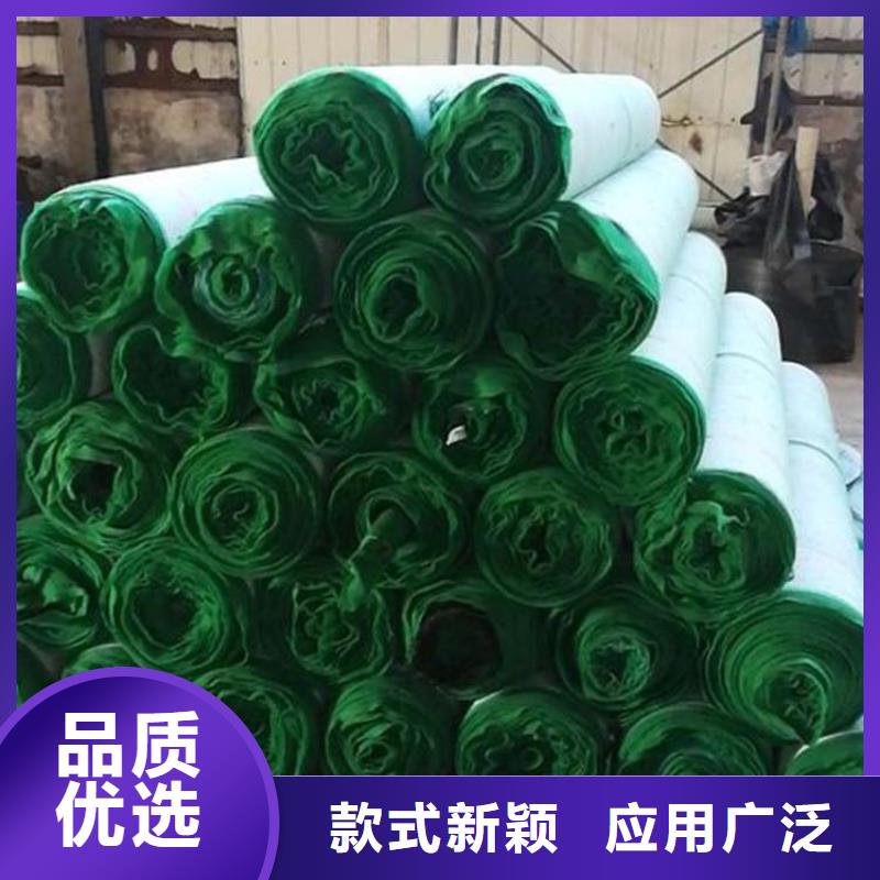 椰丝植生毯-绿化生态毯-椰丝生态毯优选厂商