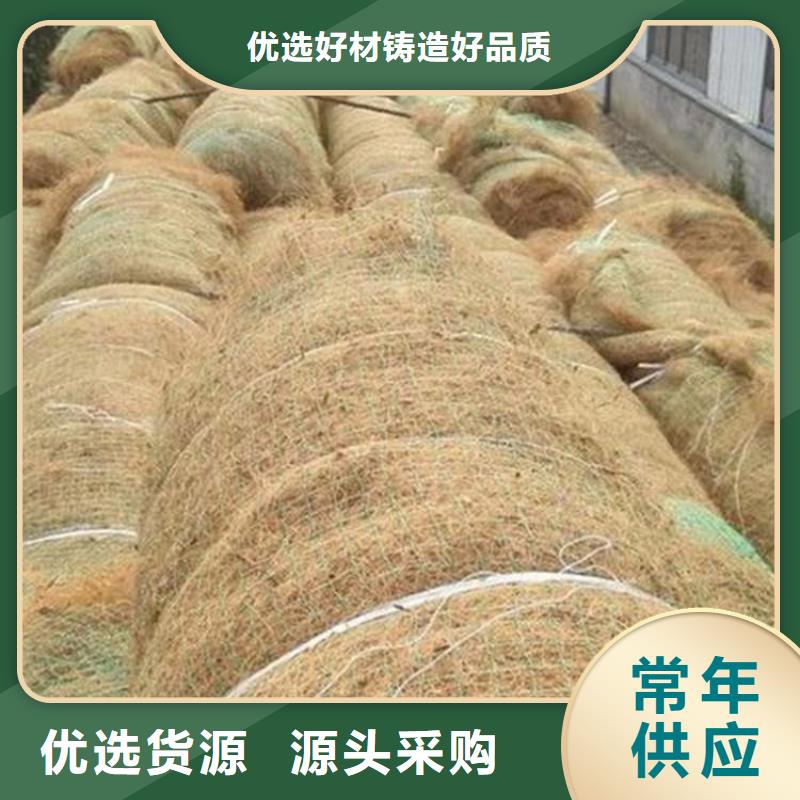 椰丝植生毯-环保植生毯-椰丝护坡毯专注产品质量与服务