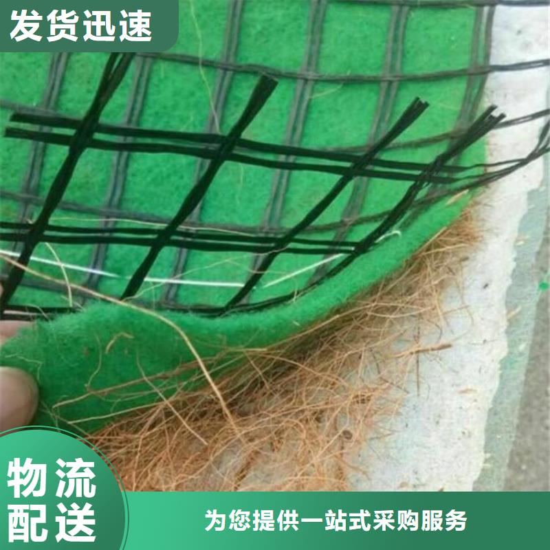 植物纤维毯-护坡抗冲植草毯-绿化植被垫交货准时