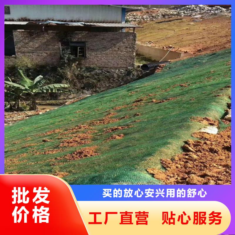 生态环保草毯-植生椰丝毯厂家-单价更新老品牌厂家