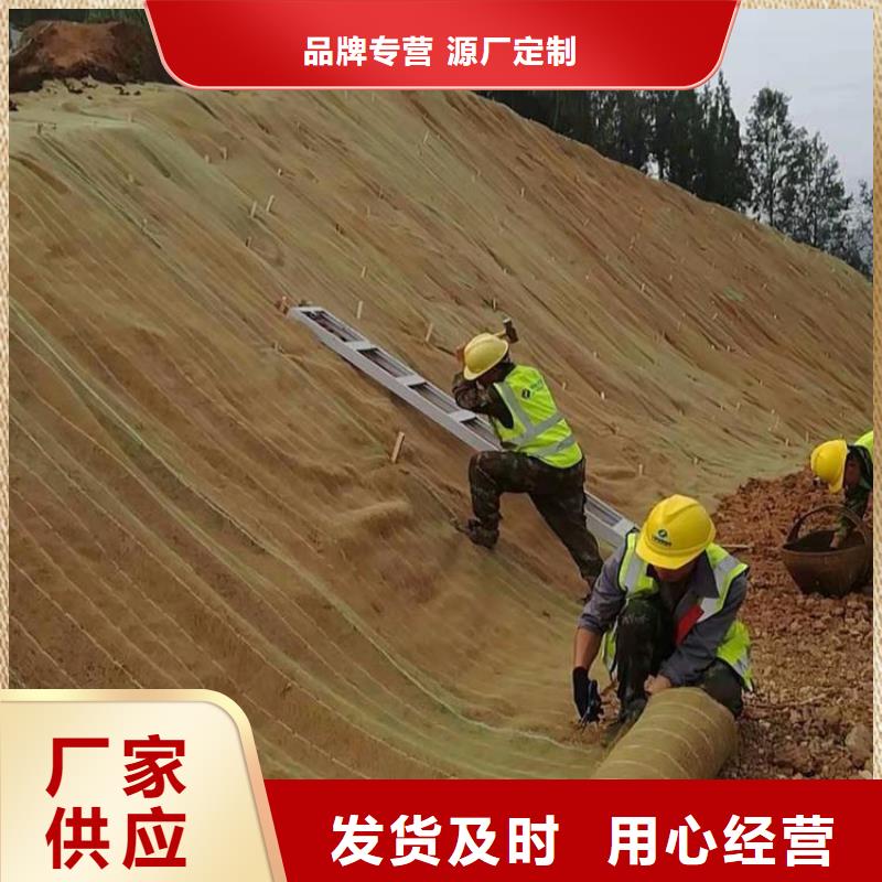 加筋抗冲生态毯加筋抗冲生物毯价格实惠工厂直供