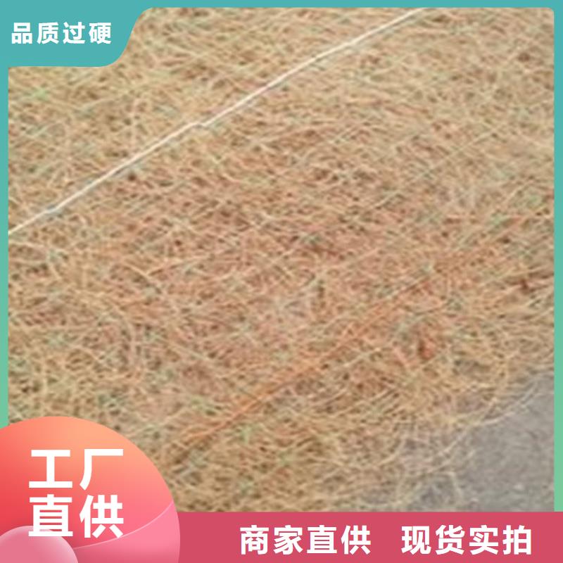 纤维椰垫植物绿化纤维毯本地经销商