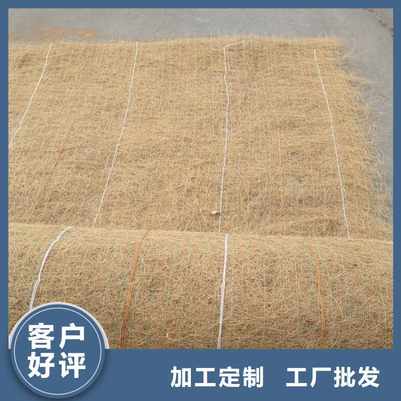 抗冲生物毯-防冲生物毯-植草椰丝毯同城品牌