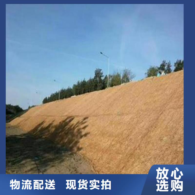 椰纤植生毯-植生椰垫合作共赢