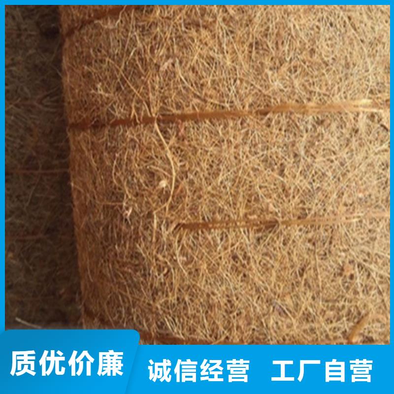 椰纤植生毯规格齐全有实力有经验