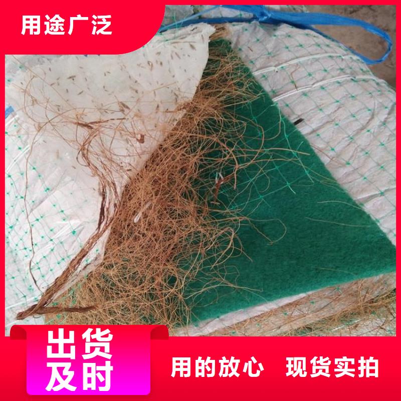 护坡植被植草毯-加筋抗冲生态毯型号性能产品实拍